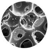 Tempur sejtszerkezet Tempur sejtszerkezet