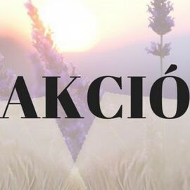 Gyógynövényes párna AKCIÓ ajándék aromatasakokkal Gyógynövényes párna AKCIÓ ajándék aromatasakokkal
